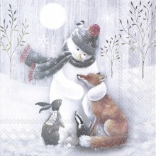 Салфетки 20бр Frosty Hug